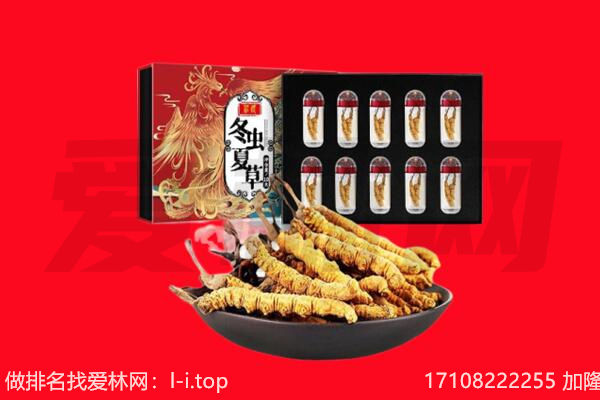 南平回收虫草.jpg